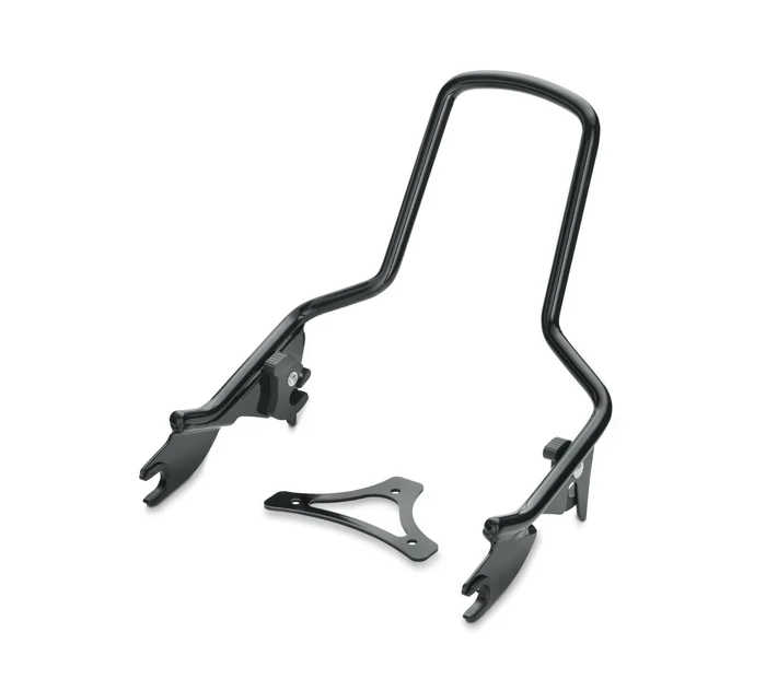 Harley-Davidson H-D Detachables Sissy Bar Upright